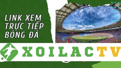 Sân chơi bóng đá trực tuyến uy tín: Xoilac-tv.media